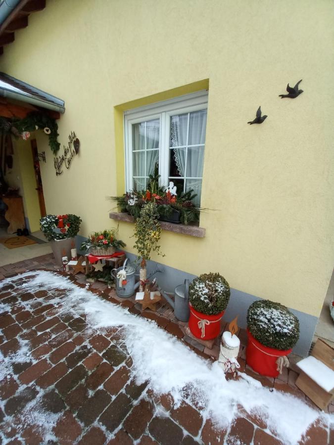L'Alcove Des P'Tits Coeurs Villa Benfeld Exterior photo